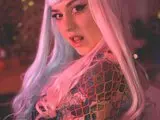 DiaFox videos